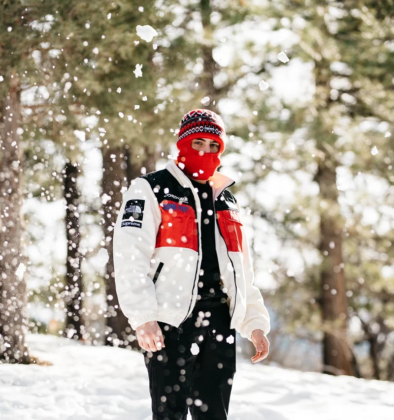 Full-length portrait of the model among sunlit pines.