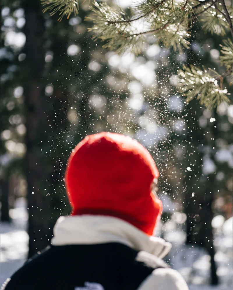 Rear detail of the jacket and red knit hat in falling snow.